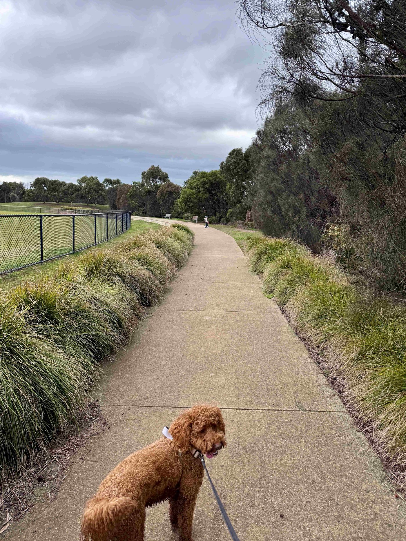 Walking path alongside the oval at Devlins Road Recreation Reserve
