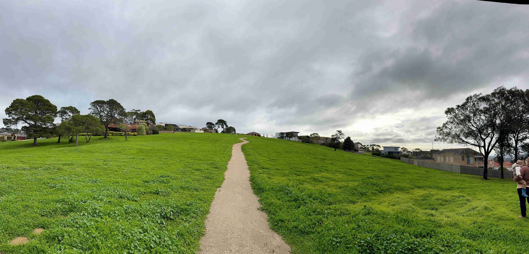 Wide view of the open grass reserve at Montpellier Park