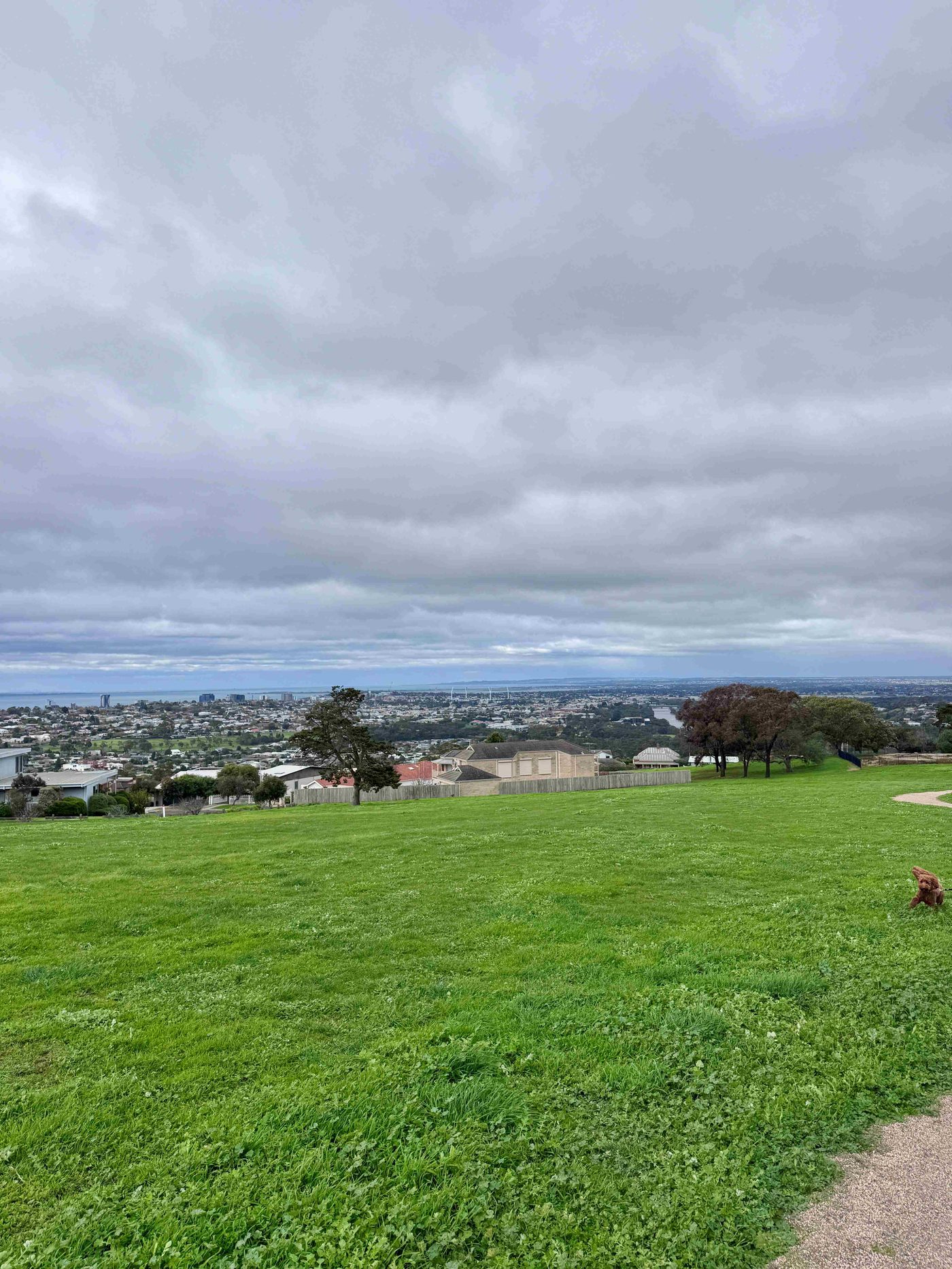 View over Geelong from Montpellier Park
