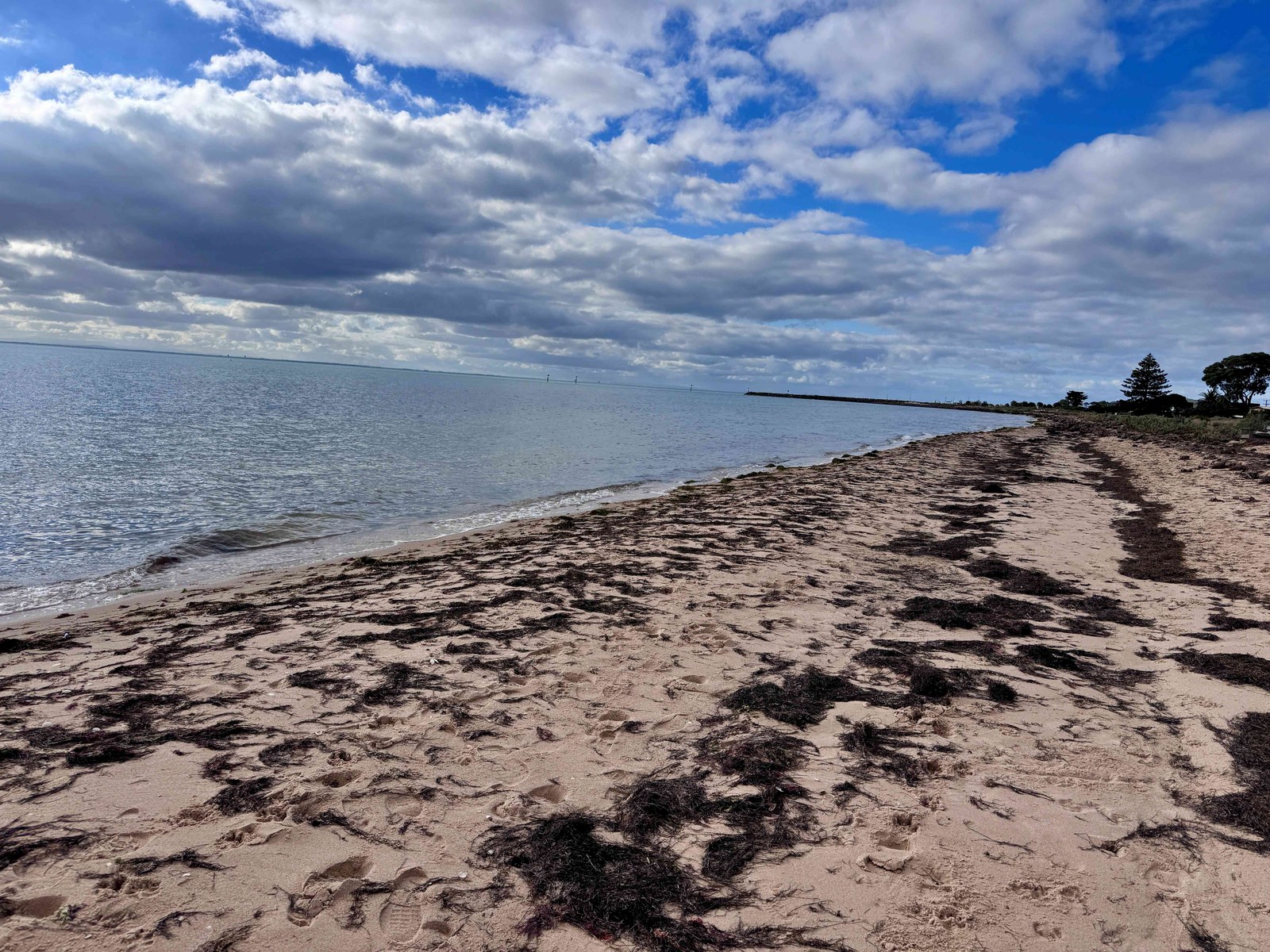 View south towards the ocean at Ramblers Beach, Portarlington