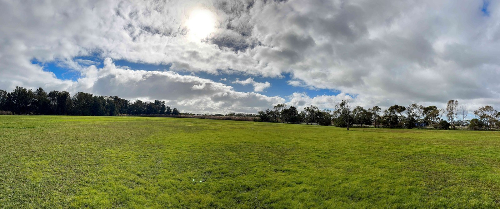 Panoramic view facing north at the off-lead dog park, Woolscour Lane, Marshall