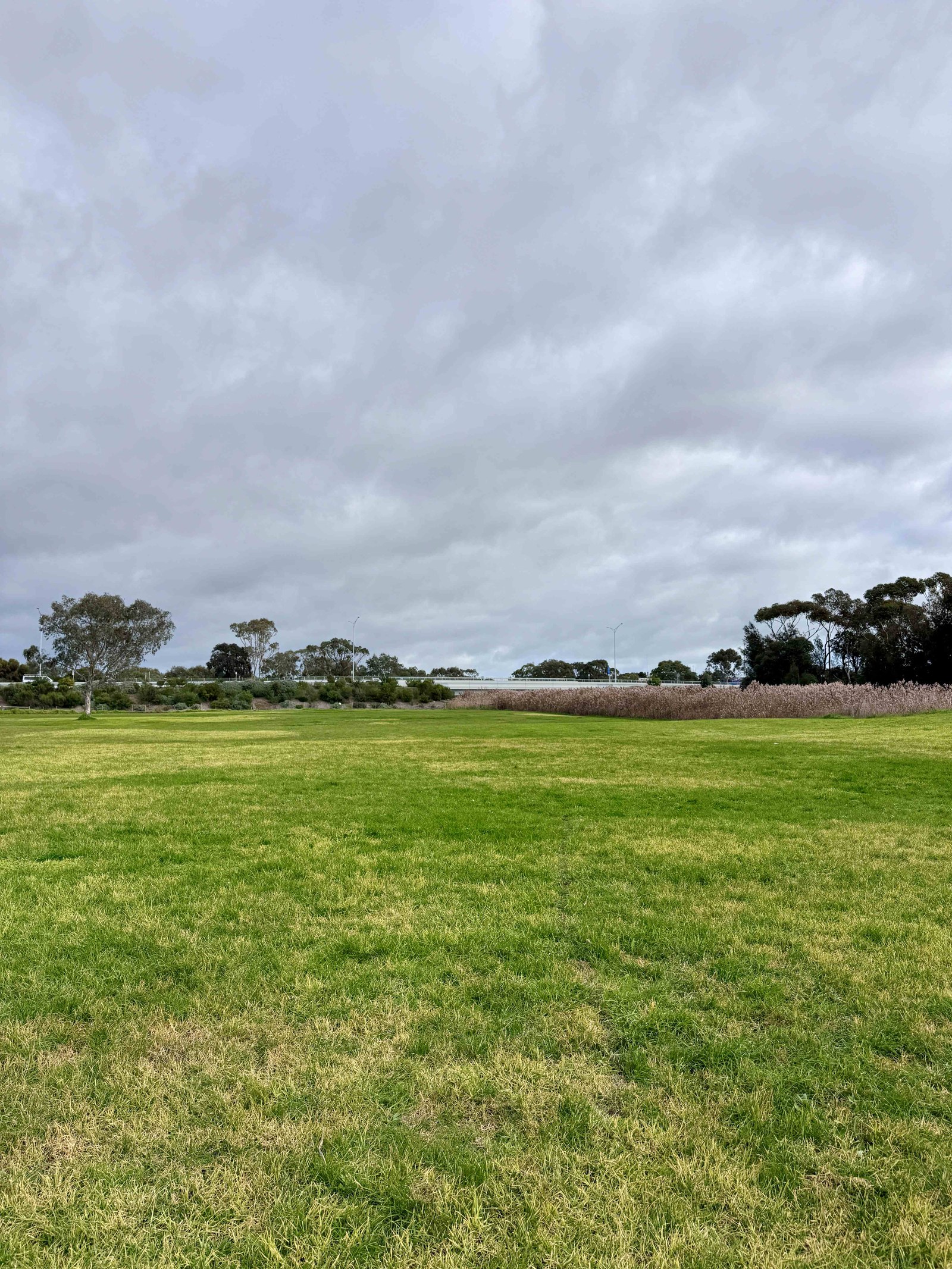 Open grass area at Woolscour Lane, Marshall