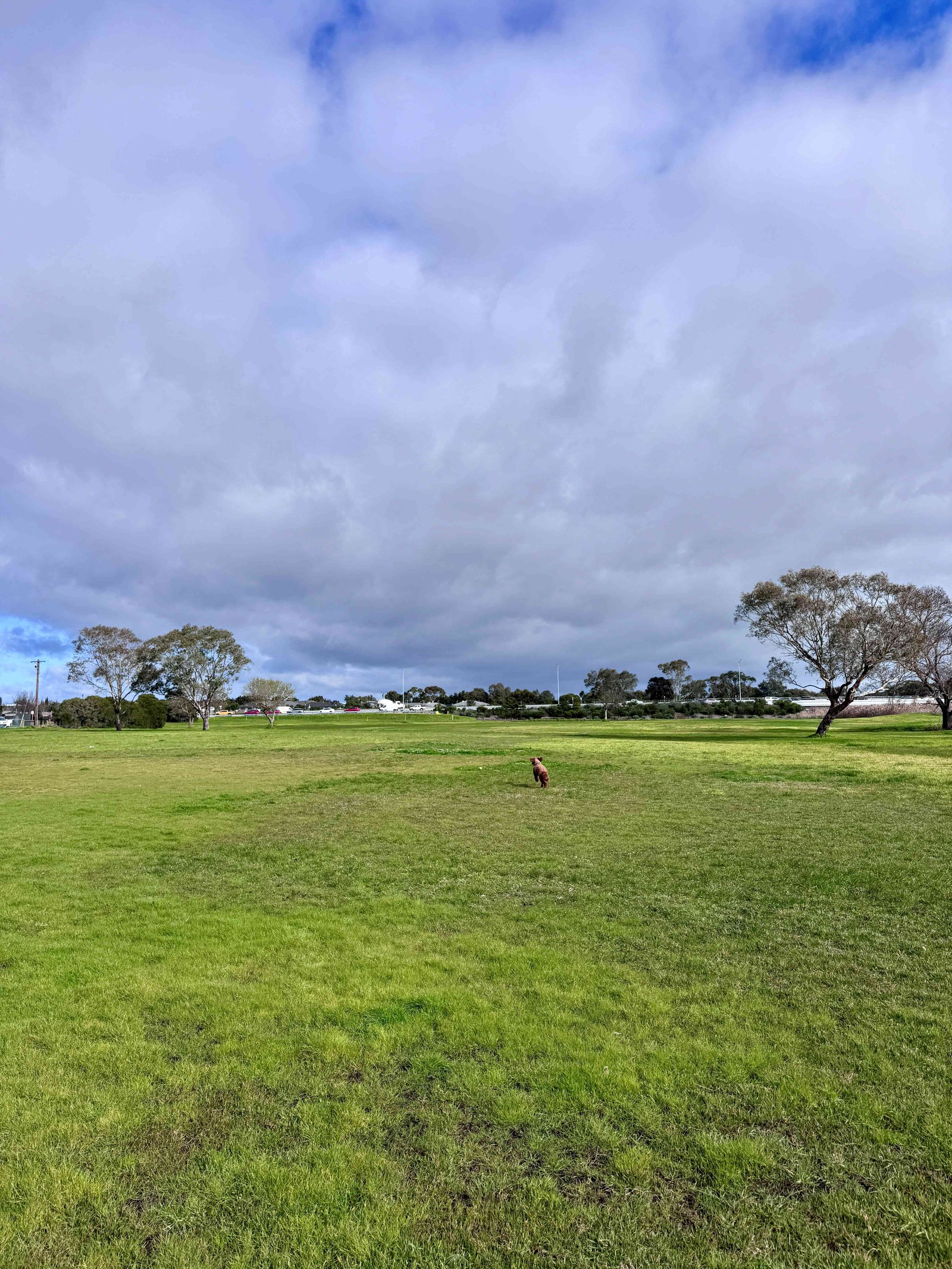 Open grass area looking west at Woolscour Lane, Marshall